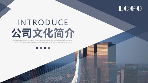 商務(wù)畫冊(cè)風(fēng)公司簡介產(chǎn)品宣傳ppt模板